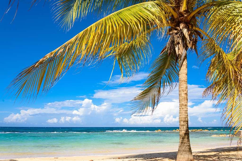 Melia Braco Village Trelawny Natur bilde